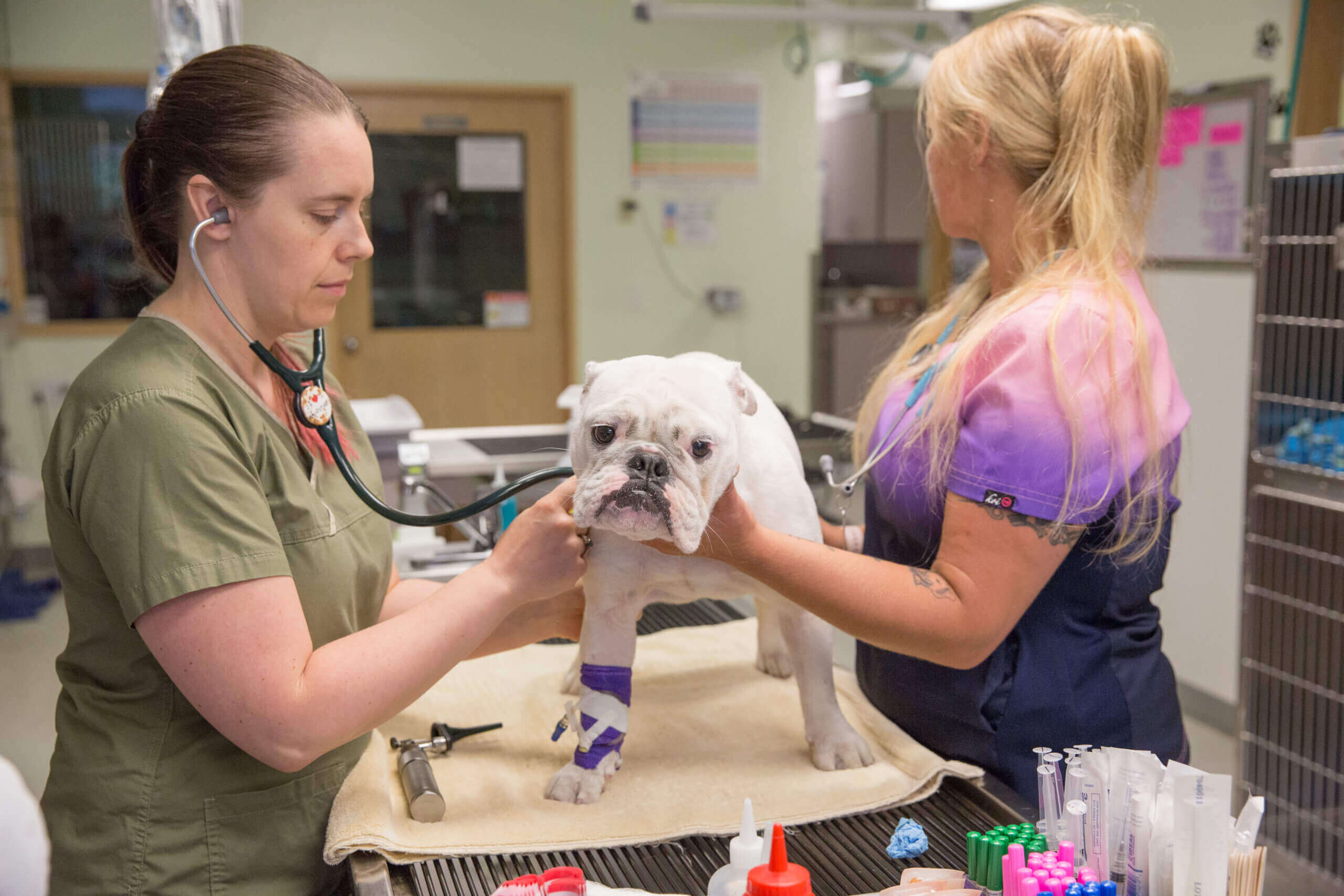 Urgent vet care near me